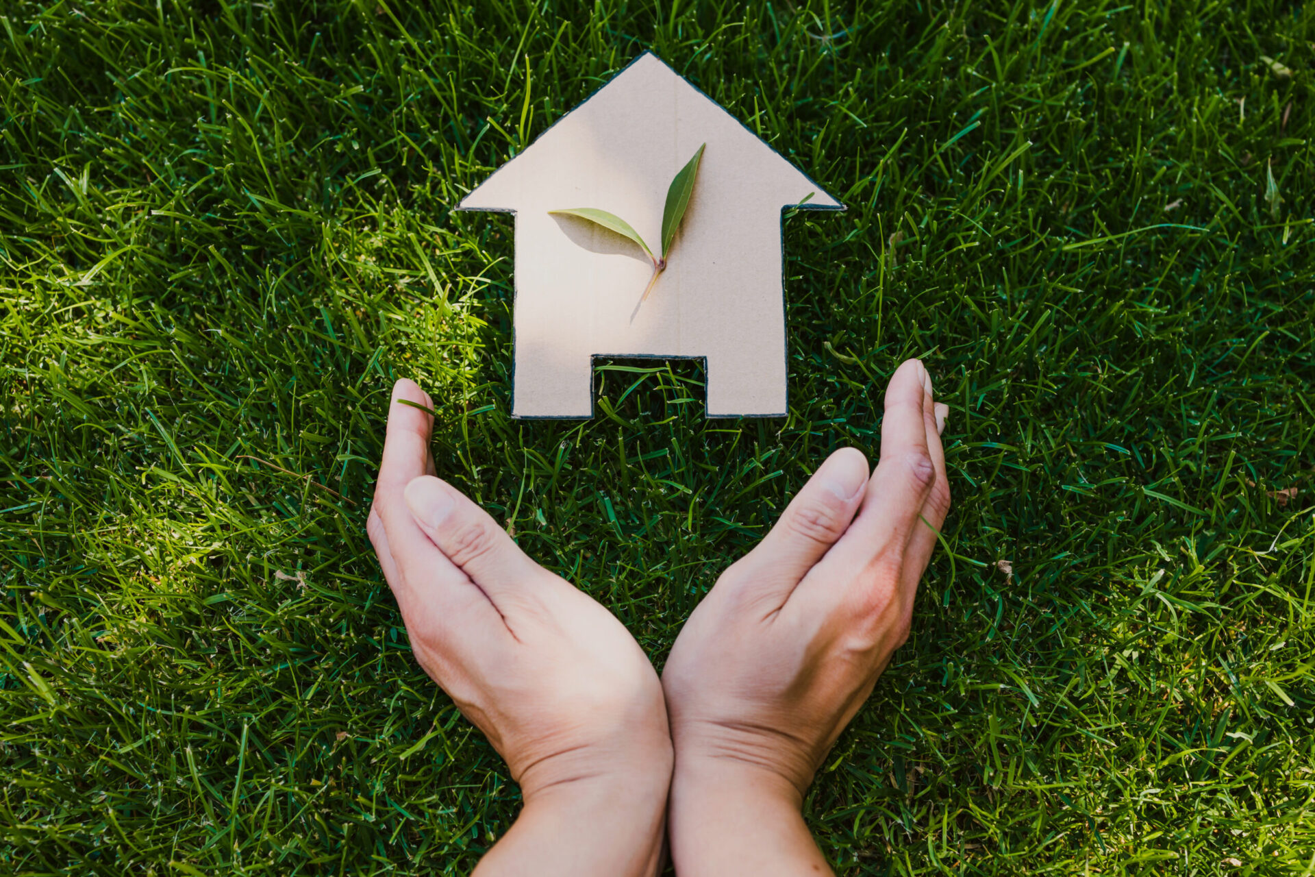 hands open and cradling a wooden silhouette of a house with a green leaf on it laying in green grass