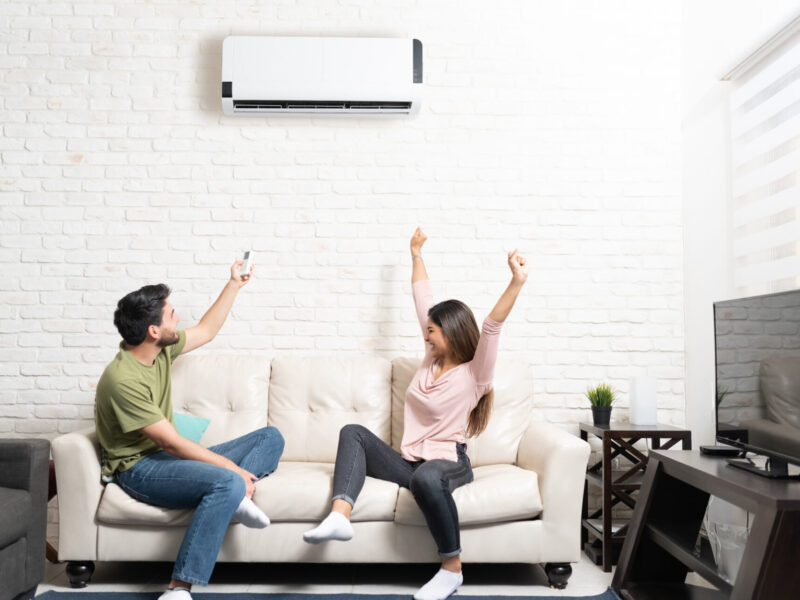 LG and Samsung Ductless Technology